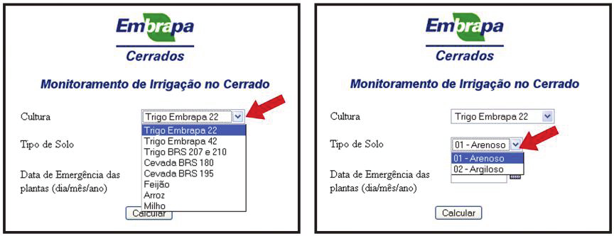 6. Selecione a data de emergência das plântulas, clique em calcular e observe, no relatório final, o turno de rega a ser adotado e a lâmina líquida a ser aplicada; 7.