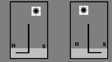 Escreva abaixo de cada desenho o nome da respectiva cidade. Dado: N = Norte e S = Sul.