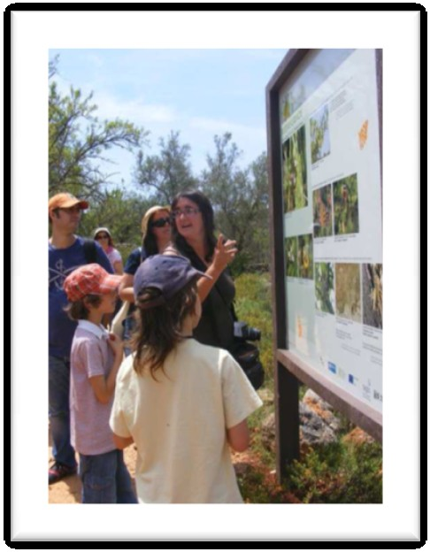 da Biodiversidade da Tôr Atividade