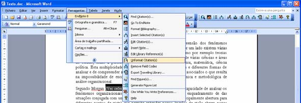 Seleccione a opção Endnote do menu Tools e pressione a opção Unformat