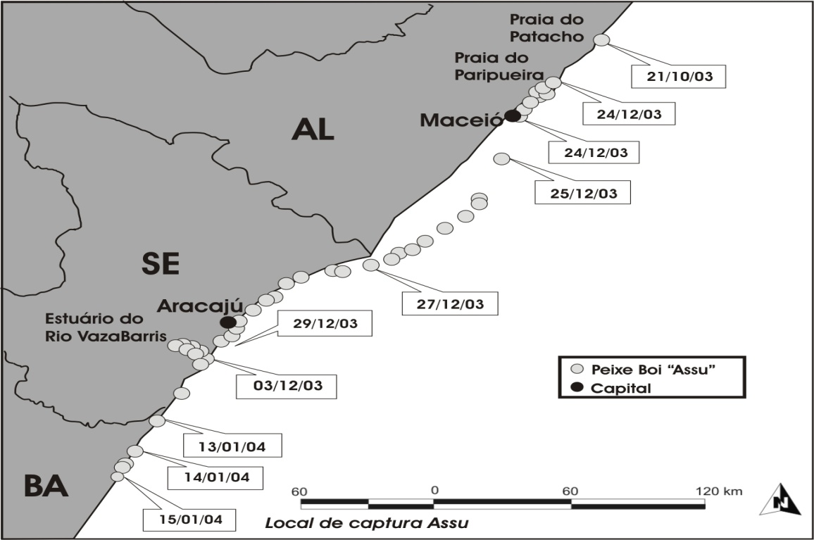 Distribuição espacial e temporal de peixes bois (Trichechus manatus) reintroduzidos no litoral nordeste do Brasil Figura 06: Mapa individual do peixe-boi marinho ASSÚ, onde os registros de suas