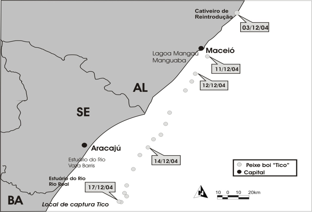 LIMA, R. P.; ALVITRE, C. M. C.; REID, J. P.; BOMBASSARO JÚNIOR, A. Figura 07: Mapa do movimento do peixe-boi TICO, mostrando sua Área de Reintrodução até sua captura em mar aberto.