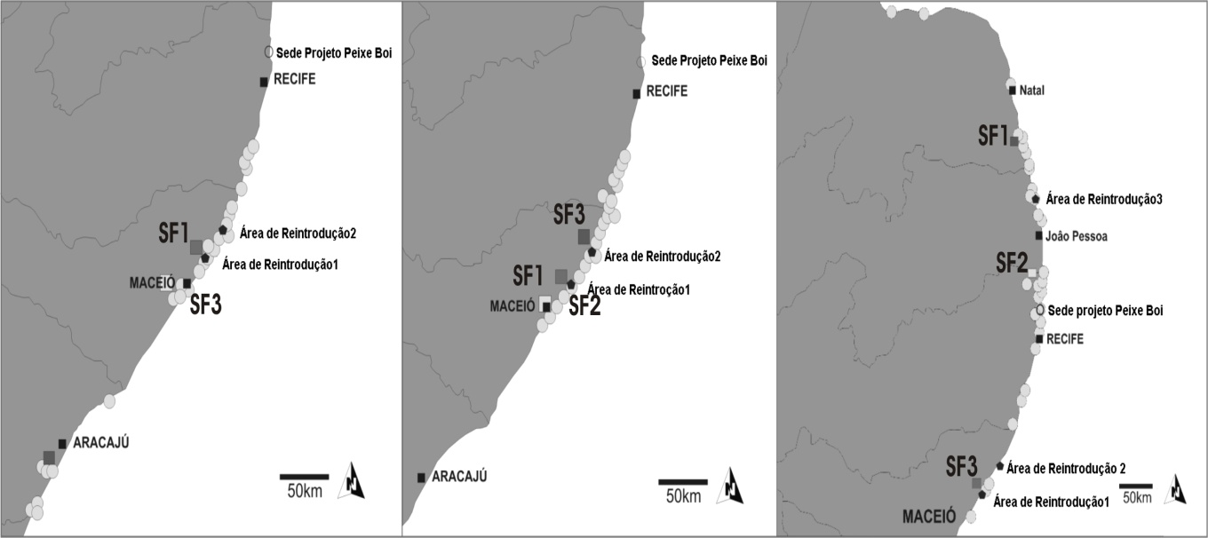 Distribuição espacial e temporal de peixes bois (Trichechus manatus) reintroduzidos no litoral nordeste do Brasil Análise Espacial e Temporal dos Peixes-Bois Reintroduzidos Essa análise foi realizada