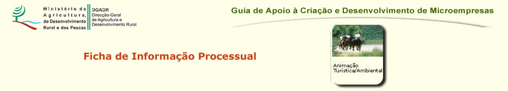 Área Temática ANIMAÇÃO TURÍSTICA/AMBIENTAL A) Constituição Formal da Empresa 1.Empresário em Nome Individual Procedimentos: 1.