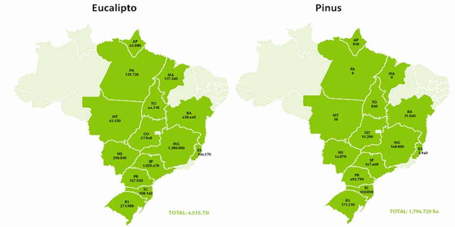 Figura 3.1 Área e distribuição de florestas plantadas com eucalipto e pinus no Brasil em 20