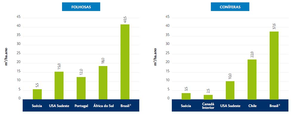 Como conseqüência, o Brasil está no topo da produtividade florestal tanto de coníferas (caso do pinus) quanto de folhosas (caso do eucalipto), quando comparado com outros países de tradição em