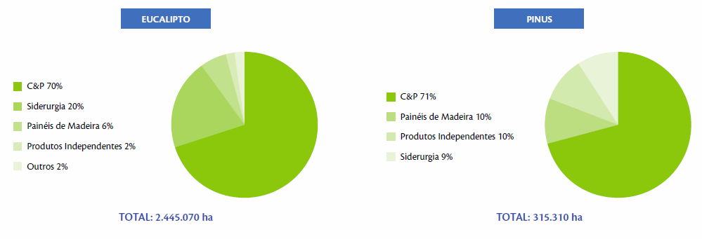 Em 2009, da área total de florestas plantadas de eucalipto por parte de empresas associadas individuais da ABRAF, 20% foram correspondentes ao segmento de siderurgia.
