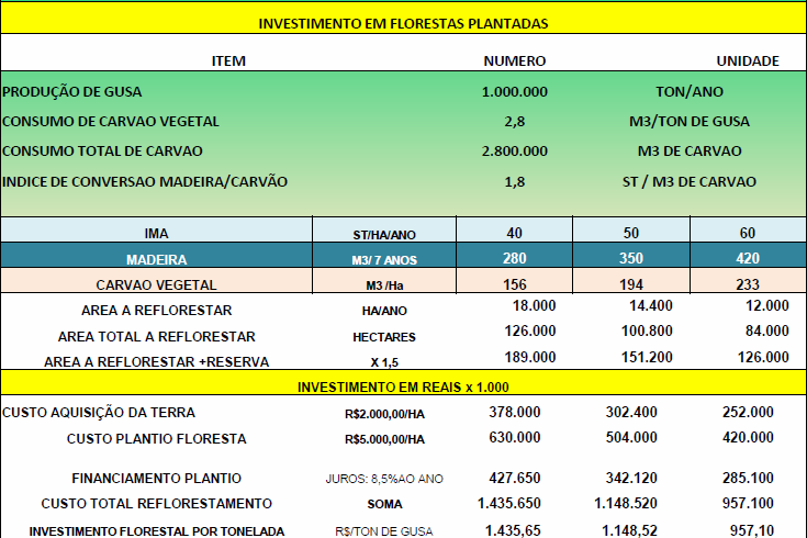 Tabela 3.13 Exemplo de investimento em florestas plantadas para a produção de um milhão de toneladas de ferro-gusa (20