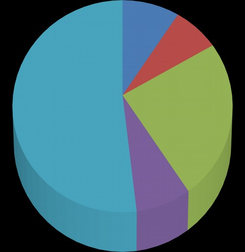 O gráfico a seguir demonstra a diversidade de temáticas escolhidas como objeto de monografias, sendo que a Educação Infantil se destaca das demais por sua maior escolha curricular do Curso de