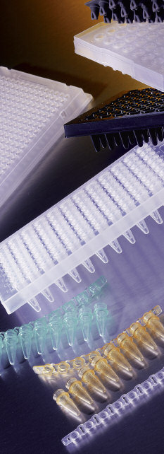 Guia de Compatibilidade para Cicladores Térmicos, Seqüenciadores e PCR em Tempo Real Microplacas Thermowell GOLD Meia saia de Saia inteira de 384 cavidades 96 cavidades 96 cavidades Cicladores