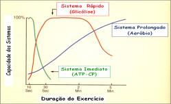 Regulação do ciclo de Krebs (oxidação de