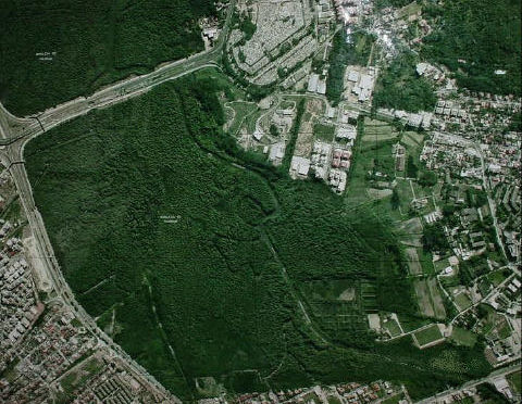 40 O manguezal do Itacorubi é o mangue de Florianópolis que possui maior degradação uma vez que estando dentro do perímetro urbano já tenha perdido mais de 78% de sua área original devido a aterros