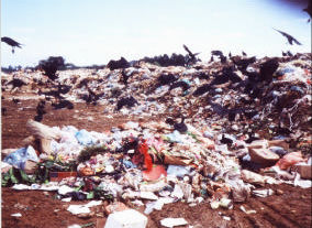 42 5.1.4 HISTÓRICO DO LIXÃO DO ITACORUBI O lixão do Itacorubi iniciou suas atividades por volta de 1956, em uma época em que não era popular o uso de termos como desenvolvimento sustentável.