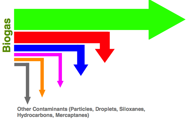 Componentes Metano Vapor de água Dióxido de Carbono Sulfeto de