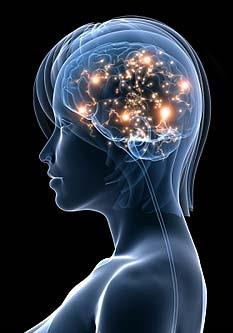 A Psicologia Cognitiva Esses mecanismos constituem o que ficou conhecido como Funções Mentais