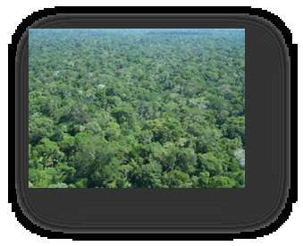 3. O caso do Portal da Amazônia, Mato Grosso Contexto do Portal da Amazônia -Colonização recente de frente pioneira amazônica (30 anos) -Tamanho do território e dificuldades e comunicação Portal :110.