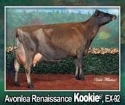 Kanada é filha de Connection (Centurion x Duncan Belle), sendo a mãe uma das mais premiadas vacas da raça - Avonlea Renaissance Kookie EX-92 5E CAN SUP EX. Esta vaca produziu, em 7 lactações 62.