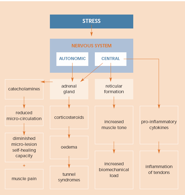 Relação: Stress Ocupacional e LMELT Activação da secreção da Citocina O stress ocupacional desancadeia a activação do Sistema Nervoso Central, que activa a produção e