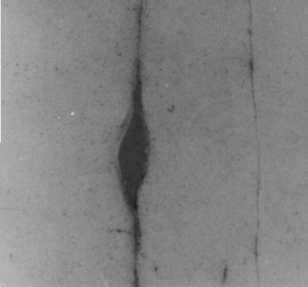 10 µm 8 µm (a) (b) 10 µm 8 µm (c) (d) Figura 2.
