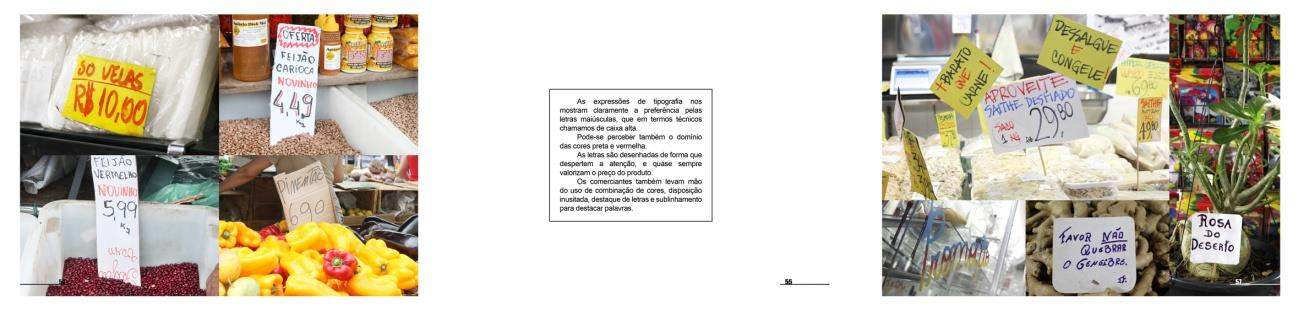 Figura 17 Páginas de análise de tipografia Figura 18 Páginas de análise de embalagens Ainda no capítulo dois, são apresentadas duas páginas contendo tutoriais de merchandising.