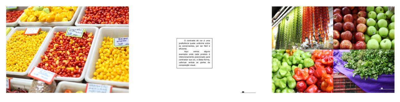 impresso. Nesse capítulo, os textos também são apresentados em caixas de texto delimitadas, o que dá continuidade à idéia já apresentada.