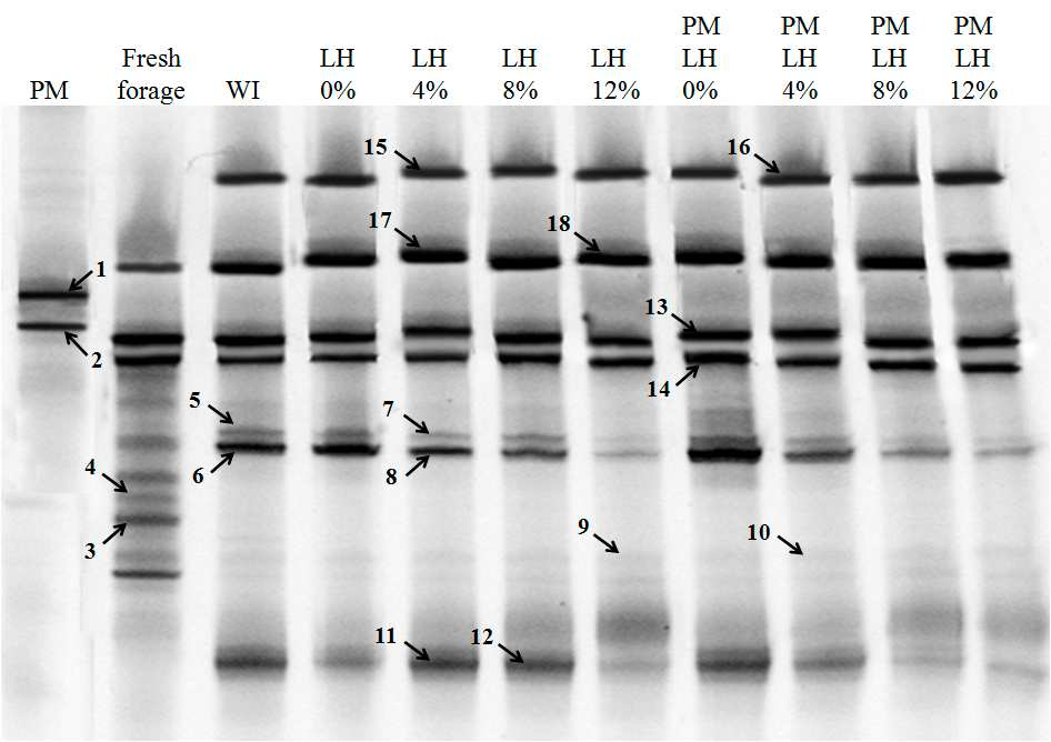 183 Figure 8 Eukaryote community in sugar cane treated with 0, 4, 8 and 12% glycerin and with microbial inoculums after 68 days of ensilage.