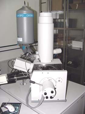 retropreparos cavitários apicais, foi utilizado microscópio eletrônico de
