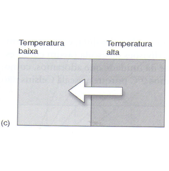 TEMPERATURA O conceito de temperatura provém de observações que mostram ser possível uma alteração do estado físico de uma amostra.