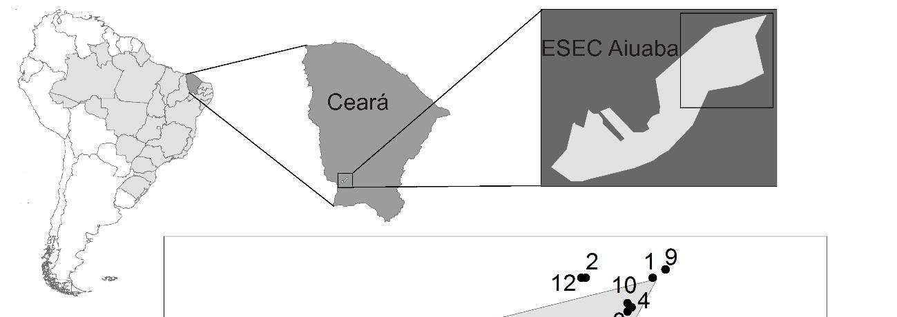 Figuras Figura 1. Mapa da área de estudo Estação Ecológica de Aiuaba, Ceará.