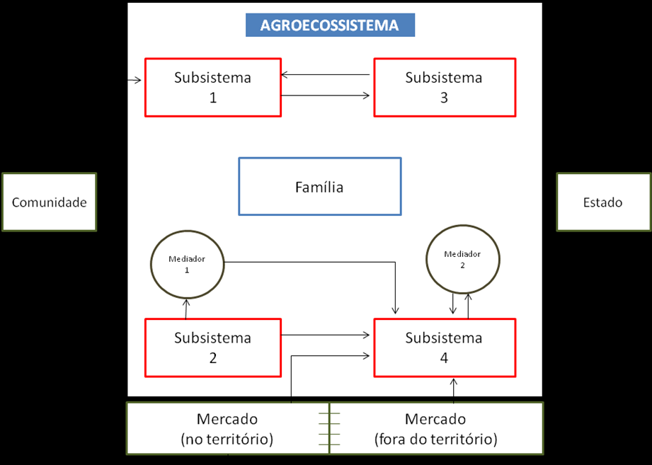 5 Figura 2: Representação gráfica dos fluxos de insumos consumidos no agroecossistema Caso o insumo seja gerado no próprio subsistema, o vetor deverá ser representado com o símbolo de um ciclo