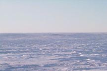 TUNDRA Durante o curto verão, o sol permanece no céu por aproximadamente 24 horas cada dia.