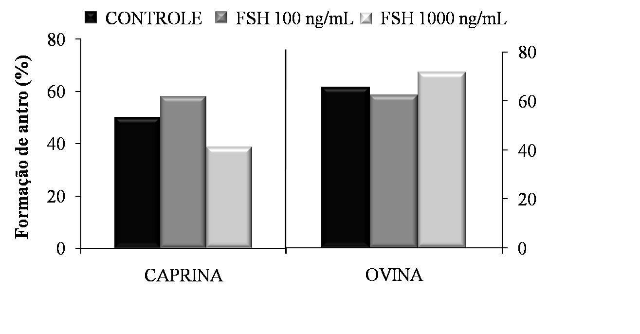 O efeito da adição de FSHr ao meio de cultivo de FOPA caprinos e ovinos sobre o desenvolvimento da cavidade antral está descrito na Figura 5.