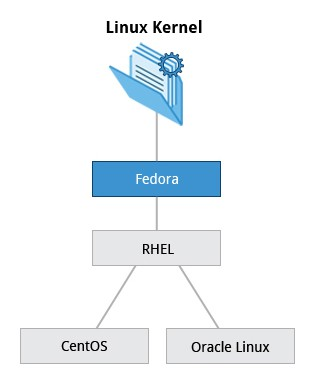 1.1 Evolução do linux e sistemas operacionais populares Família RedHat Fedora é a comunidade que representa a base para os Red Hat Enterprise Linux