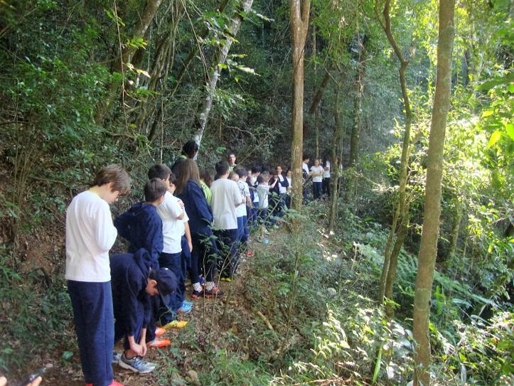 NÚCLEO DE CIÊNCIAS ESTUDO DO MEIO SERRA DO JAPI MAIO/2016-7 os ANOS DO ENSINO FUNDAMENTAL 2 A Serra do Japi é Reserva de Biosfera da Mata Atlântica e faz parte do cinturão verde do Estado de