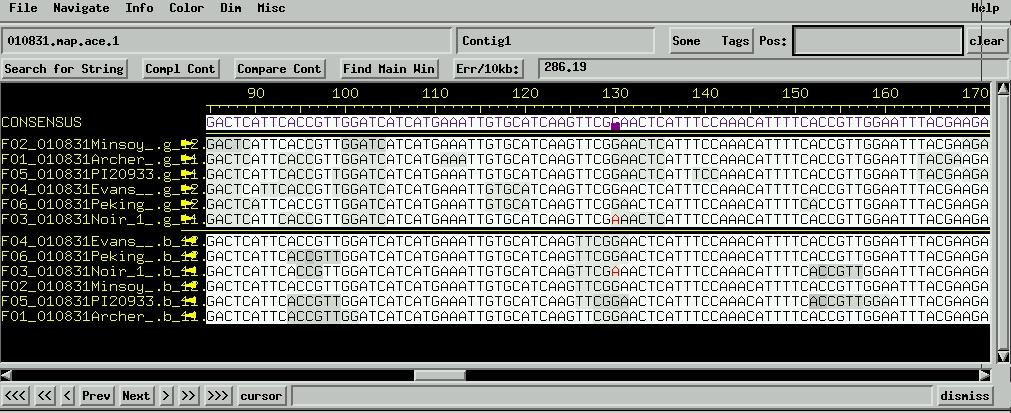 Discovery of SNPs in aligned DNA sequence data using