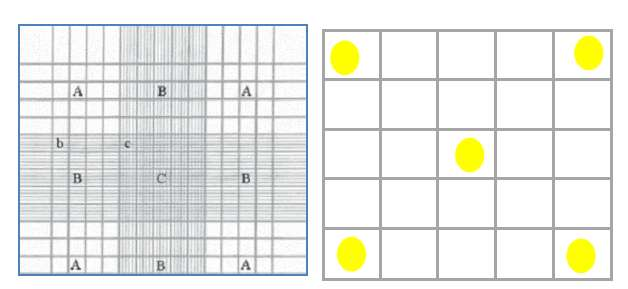 quadrado de contagem C do gabarito da câmara, nos cantos e no centro de cada retículo (Figura 4) segundo Teixeira (2013). Figura 4. Gabarito de uma câmara de Neubauer (a).