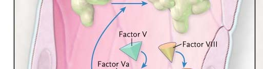 Mechanism