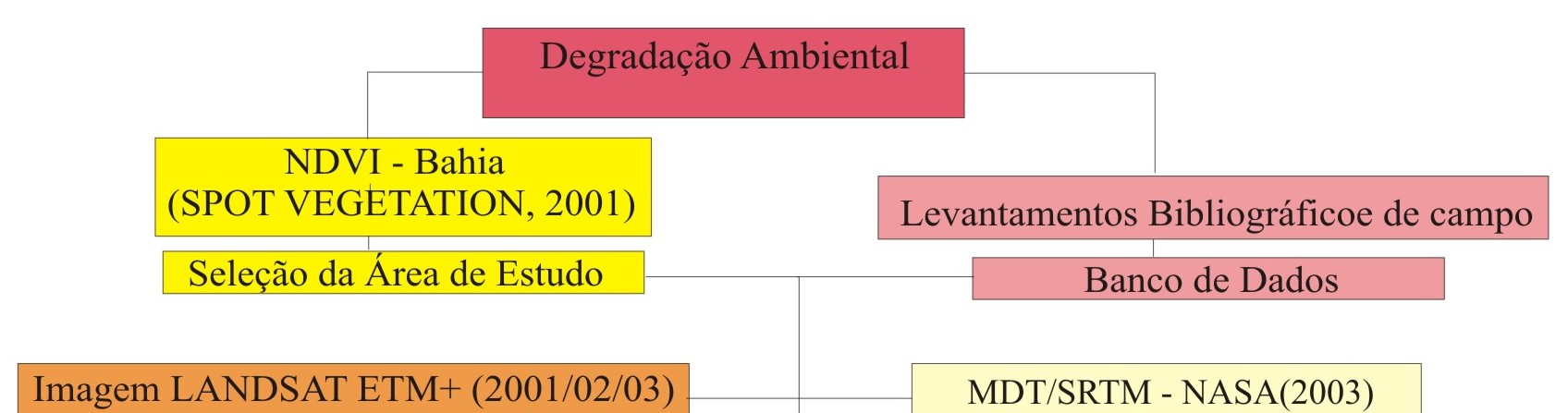 Digital de Terreno - MDT/SRTM-NASA (2003), permitiu identificar a morfologia da área, separando compartimentos topográficos, graus de dissecação e declividades.