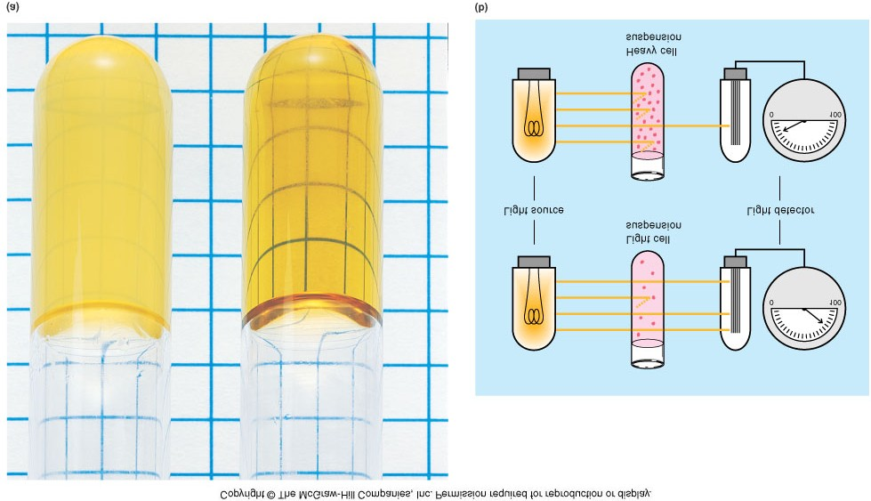 Medição da massa celular Turbidimetria - Baseia-se no fato de as células microbianas dispersarem a luz.