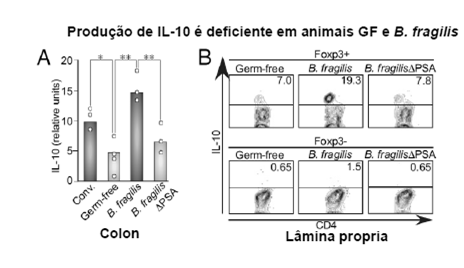 Anaeróbios predominantemente orais Peptostreptococcus spp. e Peptococcus spp.