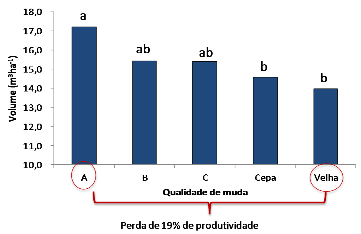 36 Anais da 50ª Reunião Técnico-Científica do Programa Cooperativo sobre Silvicultura e Manejo - Dias 12 e 13 de novembro de 2014 Impacto da qualidade de mudas no crescimento da floresta de