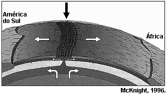 supercontinentes, ora de continentes fragmentados separados por oceanos. A partir da análise dos mapas, responda: (Adaptado de www.scotese.com) a) Por que as placas tectônicas se movimentam?