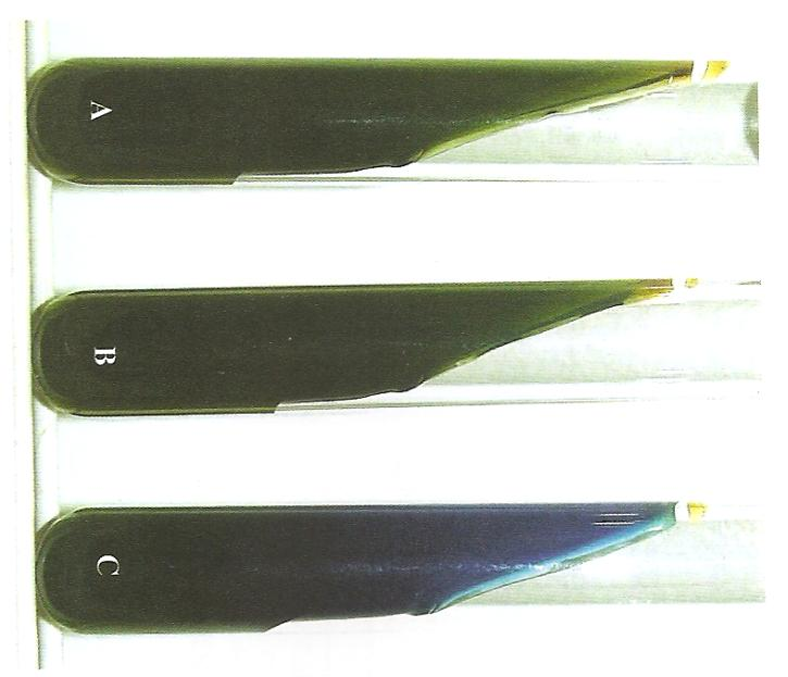 Interpretação dos resultados Prova do citrato Meio contendo indicador de ph Azul de bromotimol