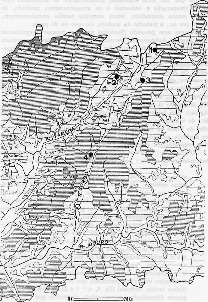 POVOADOS DA PRE-HISTÓRIA 299 Fig.