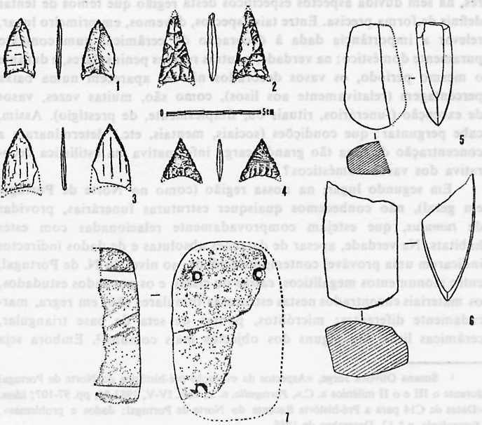 POVOADOS DA PRÊ-HISTÓRIA 303 se devem a desfasamentos cronológicos ou se resultam de uma eventual integração em áreas estilísticas diferentes; a evolução dos restantes artefactos é muito menos