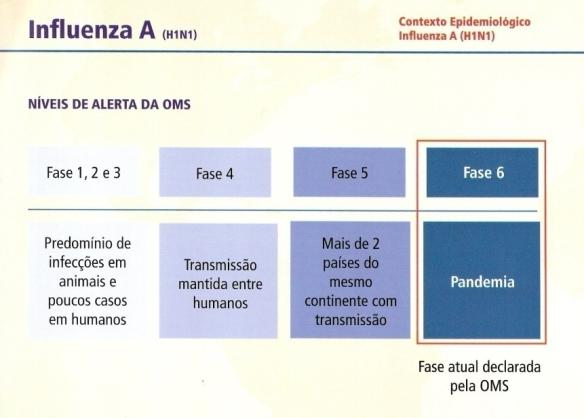 Figura 3: Contexto epidemiológico da influenza A (H1N1). Fonte: BRASIL, 2009d.