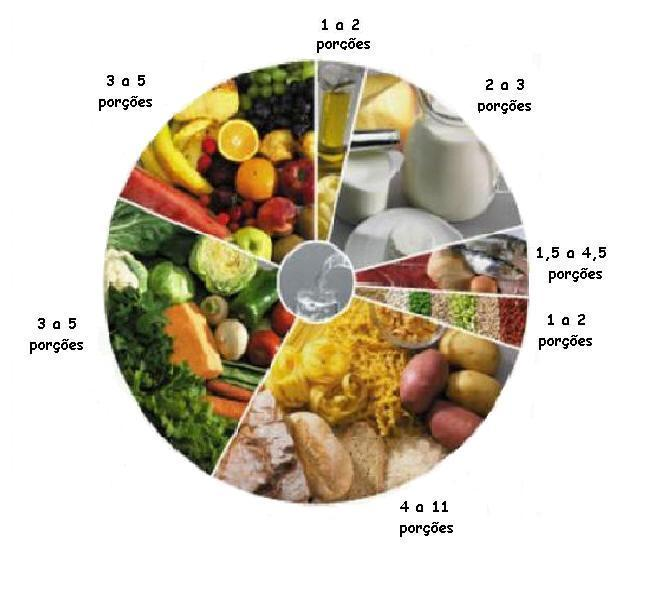 Ilustração 1 Roda dos Alimentos Observação:Consideramos que a água será da responsabilidade de cada pessoa, por isso não a englobaremos na dieta, ainda assim lembramos que um adulto deverá ingerir,