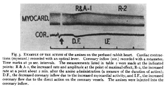 Ação das aminas no coração de coelhos Ação das aminas no coração de coelhos Perfusão com solução de