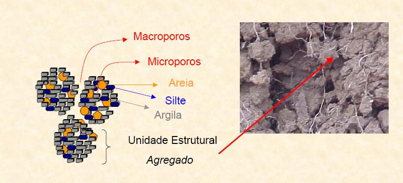 4-Estrutura - Padrão de