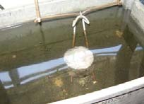 Determinar a massa do provete selado imerso em água (m3), tomando as precauções necessárias para evitar a adesão de bolhas de ar ao selante durante a pesagem.